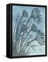 Tall Grasses on Blue II-Elizabeth Medley-Framed Stretched Canvas