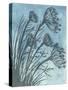 Tall Grasses on Blue II-Elizabeth Medley-Stretched Canvas