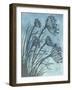 Tall Grasses on Blue II-Elizabeth Medley-Framed Art Print