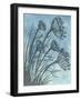 Tall Grasses on Blue II-Elizabeth Medley-Framed Art Print