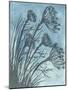 Tall Grasses on Blue II-Elizabeth Medley-Mounted Art Print