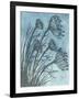 Tall Grasses on Blue II-Elizabeth Medley-Framed Art Print