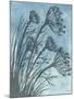 Tall Grasses on Blue II-Elizabeth Medley-Mounted Art Print