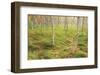 Tall Grasses-Michael Hudson-Framed Art Print