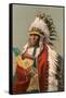 Tall Man Dan, Sioux Indian-null-Framed Stretched Canvas