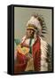 Tall Man Dan, Sioux Indian-null-Framed Stretched Canvas