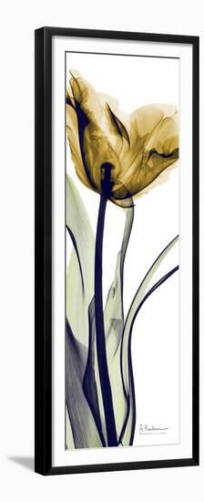 Tall Orange Tulip-Albert Koetsier-Framed Premium Giclee Print