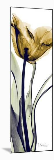 Tall Orange Tulip-Albert Koetsier-Mounted Premium Giclee Print