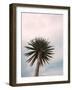 Tall Palm-PhotoINC Studio-Framed Art Print