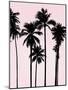 Tall Palms Black on Pink I-Mia Jensen-Mounted Art Print
