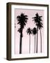 Tall Palms Black on Pink II-Mia Jensen-Framed Art Print