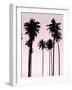 Tall Palms Black on Pink II-Mia Jensen-Framed Art Print