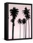 Tall Palms Black on Pink II-Mia Jensen-Framed Stretched Canvas