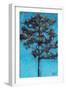 Tall Pine, Blue Sky, Julington Durbin Preserve Series-Marie Marfia Fine Art-Framed Giclee Print