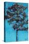 Tall Pine, Blue Sky, Julington Durbin Preserve Series-Marie Marfia Fine Art-Stretched Canvas