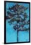 Tall Pine, Blue Sky, Julington Durbin Preserve Series-Marie Marfia Fine Art-Framed Giclee Print