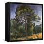 Tall Pine by Paul Cezanne-Francis G. Mayer-Framed Stretched Canvas