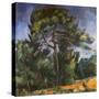 Tall Pine by Paul Cezanne-Francis G. Mayer-Stretched Canvas