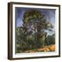 Tall Pine by Paul Cezanne-Francis G. Mayer-Framed Giclee Print
