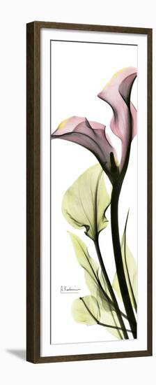 Tall Pink Calla Lily-Albert Koetsier-Framed Premium Giclee Print