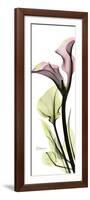 Tall Pink Calla Lily-Albert Koetsier-Framed Premium Giclee Print