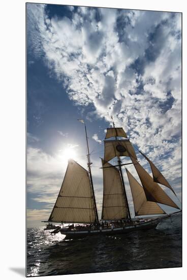 Tall Ship in the Pacific Ocean, Dana Point Harbor, Dana Point, Orange County, California, USA-null-Mounted Premium Photographic Print