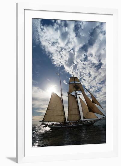 Tall Ship in the Pacific Ocean, Dana Point Harbor, Dana Point, Orange County, California, USA-null-Framed Photographic Print