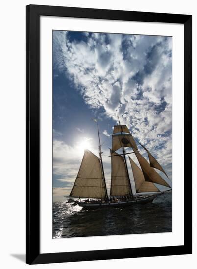 Tall Ship in the Pacific Ocean, Dana Point Harbor, Dana Point, Orange County, California, USA-null-Framed Photographic Print