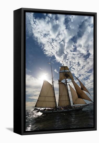 Tall Ship in the Pacific Ocean, Dana Point Harbor, Dana Point, Orange County, California, USA-null-Framed Stretched Canvas