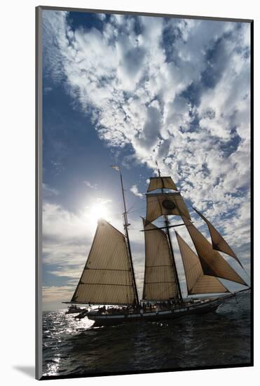 Tall Ship in the Pacific Ocean, Dana Point Harbor, Dana Point, Orange County, California, USA-null-Mounted Photographic Print