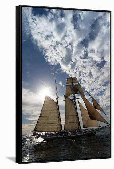 Tall Ship in the Pacific Ocean, Dana Point Harbor, Dana Point, Orange County, California, USA-null-Framed Stretched Canvas