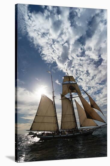 Tall Ship in the Pacific Ocean, Dana Point Harbor, Dana Point, Orange County, California, USA-null-Stretched Canvas