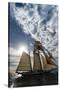 Tall Ship in the Pacific Ocean, Dana Point Harbor, Dana Point, Orange County, California, USA-null-Stretched Canvas