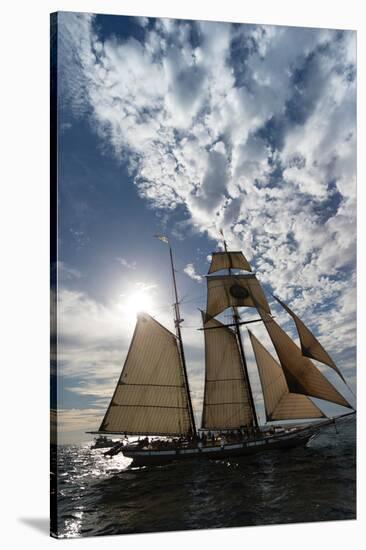 Tall Ship in the Pacific Ocean, Dana Point Harbor, Dana Point, Orange County, California, USA-null-Stretched Canvas