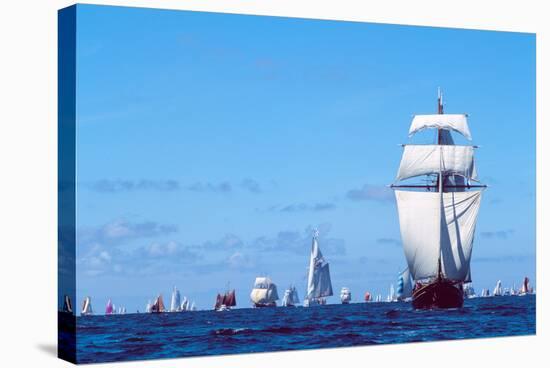 Tall Ship Regatta in the Baie De Douarnenez, Finistere, Brittany, France-null-Stretched Canvas