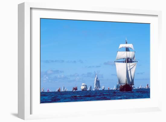 Tall Ship Regatta in the Baie De Douarnenez, Finistere, Brittany, France-null-Framed Photographic Print