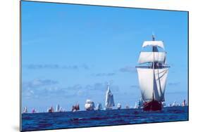 Tall Ship Regatta in the Baie De Douarnenez, Finistere, Brittany, France-null-Mounted Photographic Print