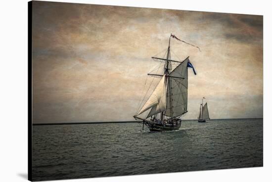 Tall Ships Festival, Digitally Altered-Rona Schwarz-Stretched Canvas