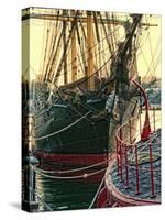 Tall Ships in Darling Harbour-Danny Head-Stretched Canvas