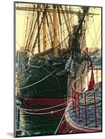 Tall Ships in Darling Harbour-Danny Head-Mounted Art Print