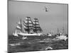 Tall Ships Race, Cowes-null-Mounted Photographic Print