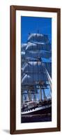 Tall Ships Race in the Ocean, Baie De Douarnenez, Finistere, Brittany, France-null-Framed Photographic Print