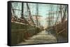 Tall Ships, Wharf, Pensacola, Florida-null-Framed Stretched Canvas