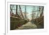 Tall Ships, Wharf, Pensacola, Florida-null-Framed Premium Giclee Print