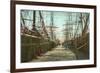 Tall Ships, Wharf, Pensacola, Florida-null-Framed Premium Giclee Print