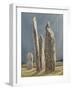 Tall Stones of Callanish, Isle of Lewis, 1986-7-Evangeline Dickson-Framed Giclee Print