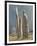 Tall Stones of Callanish, Isle of Lewis, 1986-7-Evangeline Dickson-Framed Giclee Print