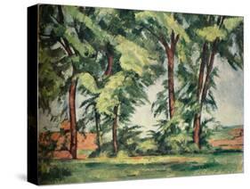 Tall Trees at the Jas de Bouffan, c1883, (1929)-Paul Cezanne-Stretched Canvas