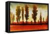 Tall Trees Horizonal Red-Tim O'toole-Framed Stretched Canvas