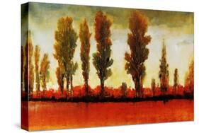 Tall Trees Horizonal Red-Tim O'toole-Stretched Canvas